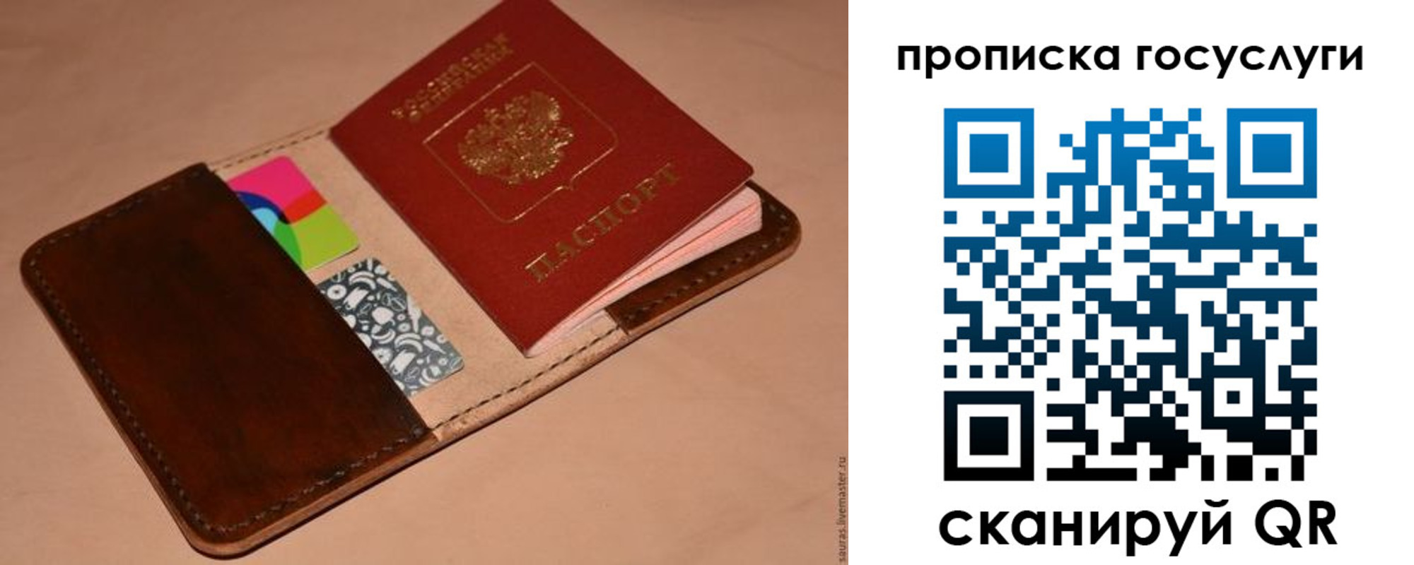 где прописаться в Мончегорске